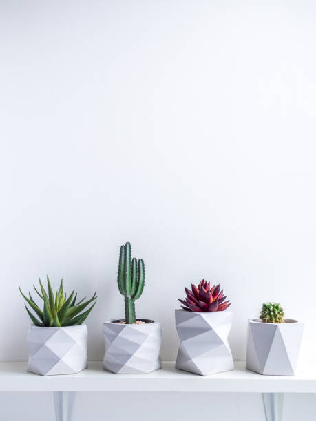 istock Cactus pot. Concrete pot. Modern geometric concrete planter. 1189026264