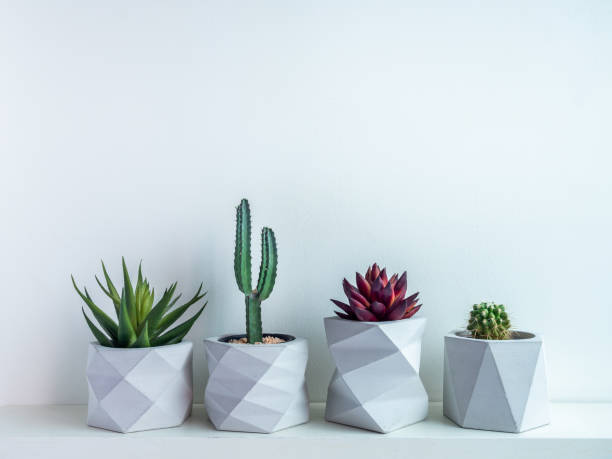 istock Cactus pot. Concrete pot. Modern geometric concrete planter. 1189026272