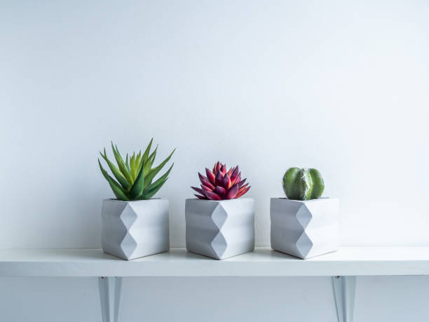 istock Cactus pot. Concrete pot. Modern geometric concrete planter. 1189026286