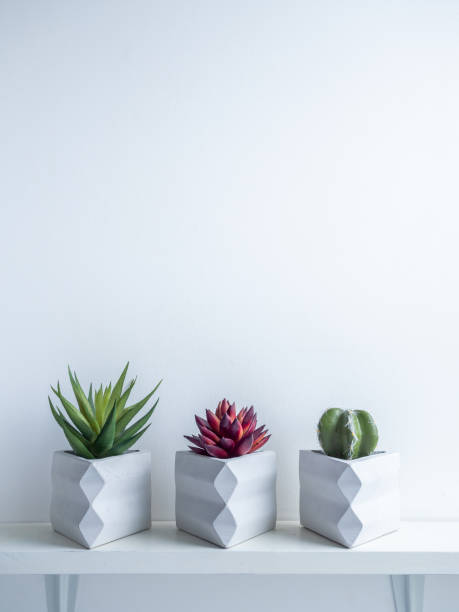istock Cactus pot. Concrete pot. Modern geometric concrete planter. 1189026288