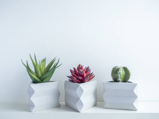 istock Cactus pot. Concrete pot. Modern geometric concrete planter. 1189026289