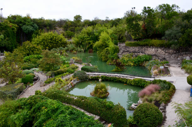 японский чайный сад в сан-антонио, штат техас. - japanese tea garden стоковые фото и изображения