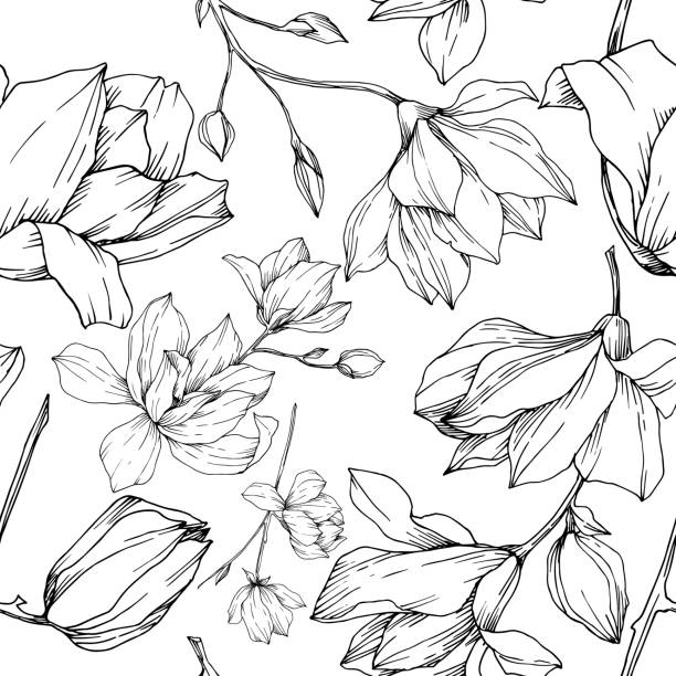 ilustrações de stock, clip art, desenhos animados e ícones de vector magnolia floral botanical flowers. black and white engraved ink art. seamless background pattern. - seamless tile illustrations