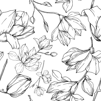 Vector Magnolia floral botanical flowers. Wild spring leaf wildflower isolated. Black and white engraved ink art. Seamless background pattern. Fabric wallpaper print texture.