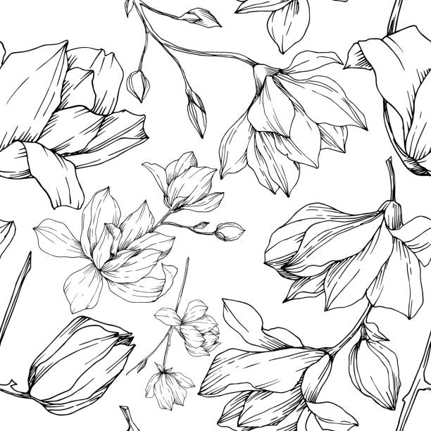 Vector Magnolia floral botanical flowers. Black and white engraved ink art. Seamless background pattern. Vector Magnolia floral botanical flowers. Wild spring leaf wildflower isolated. Black and white engraved ink art. Seamless background pattern. Fabric wallpaper print texture. tile illustrations stock illustrations