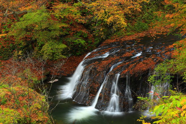 istock Iwate Prefecture, autumnal mountain stream 1189030829