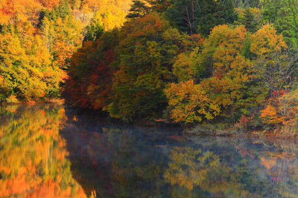 istock Iwate Prefecture Autumnal Lake 1189031654
