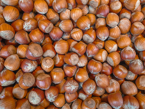 Hazelnuts on a platter. Background of brown nuts.