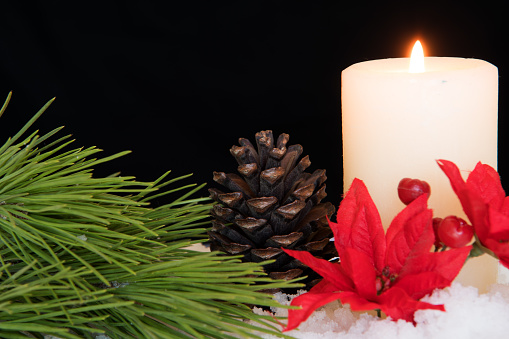 Red Poinsettia flower with lit white candle, pine needles and pine cones in snow. Black Christmas Background with holiday theme.