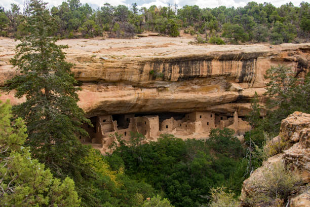 istock Mesa Verde National Park - Spruce Tree House & Tree 1189041130
