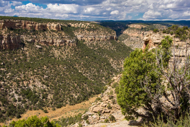 istock Mesa Verde National Park - Navajo Canyon Horizontal 1189044342