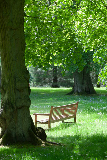 istock green place in uk 1189047700