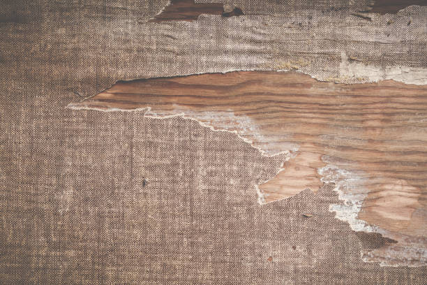 istock Vintage wooden background covered in torn paper 1189047869
