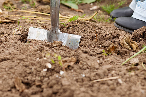 istock Gardening - digging over the soil 118904863