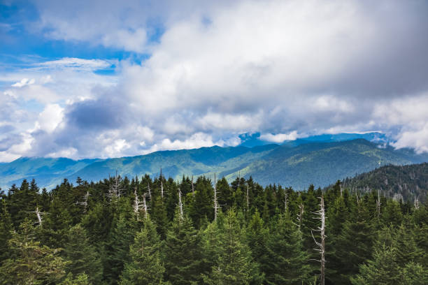 View from the Clingmans Dome Observation Tower