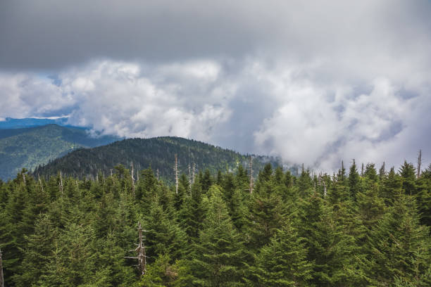istock View from the Clingmans Dome Observation Tower 1189050370