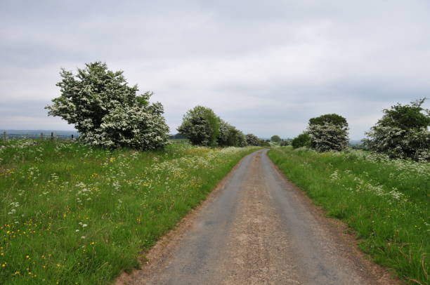 istock Landscapes and seascapes North York Moor Spring 1189051679