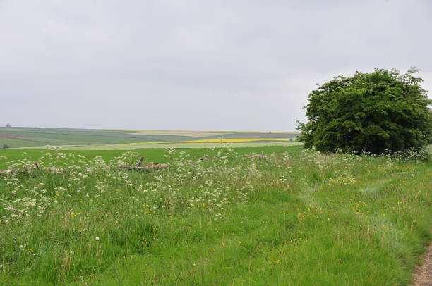 istock Landscapes and seascapes North York Moor Spring 1189051716