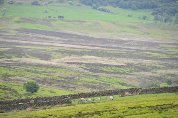 istock Landscapes and seascapes North York Moor Spring 1189051749
