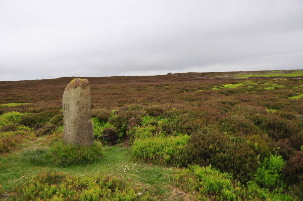 istock Landscapes and seascapes North York Moor Spring 1189051805