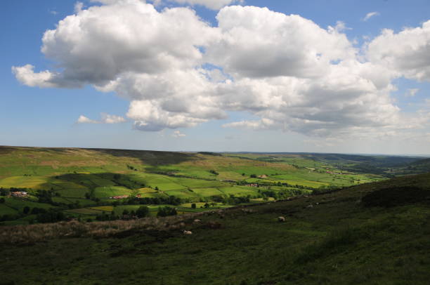 istock Landscapes and seascapes North York Moor Spring 1189052492