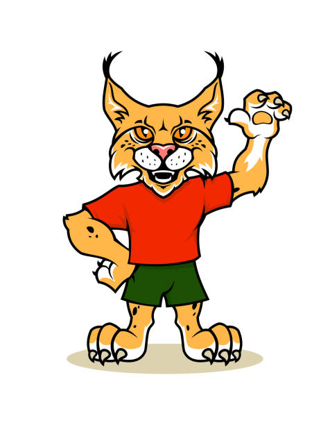 Lynx, bobcat cartoon mascot character Lynx, bobcat, or wild cat vector mascot character wildcat animal stock illustrations