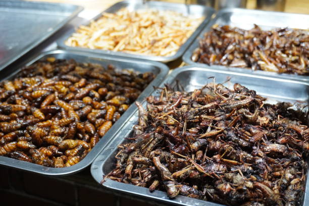 istock Stall that selling bugs and insect at Lijiang. 1189055242