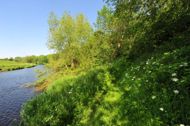 istock River scenes along the Tees North Yorkshire in Spring 1189056905