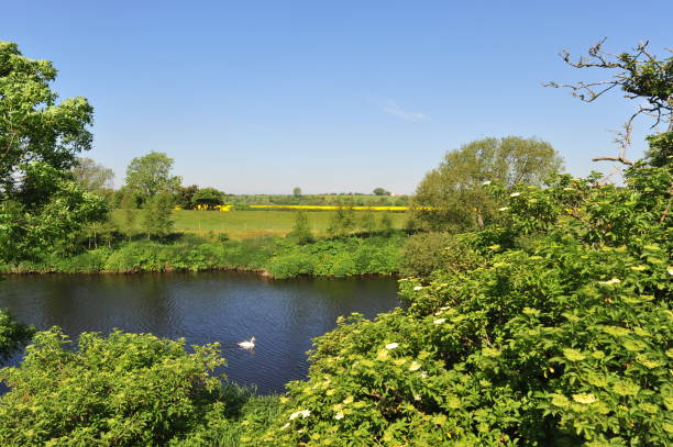 istock River scenes along the Tees North Yorkshire in Spring 1189057442