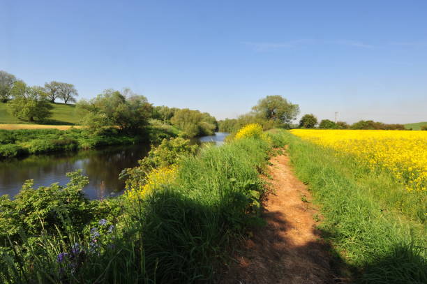 istock River scenes along the Tees North Yorkshire in Spring 1189057963