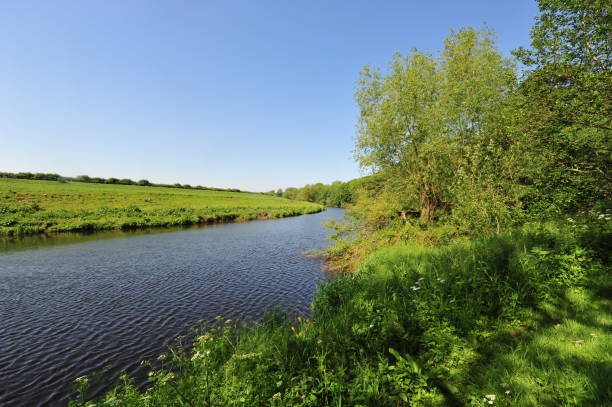 istock River scenes along the Tees North Yorkshire in Spring 1189057971