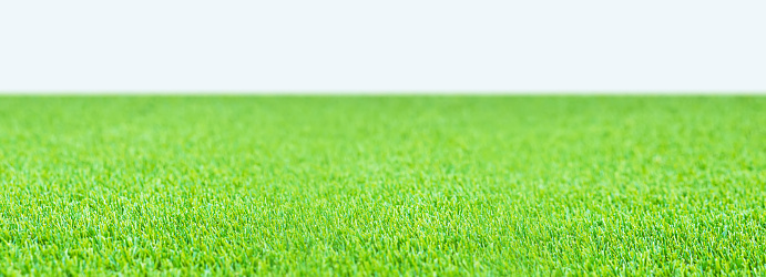 closeup green artificial grass on white