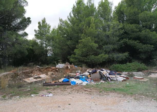 istock Lot of garbage thrown away at a forest.pollution concept. 1189059807