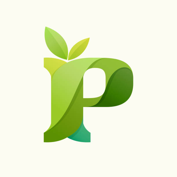 ilustrações, clipart, desenhos animados e ícones de rodando carta p logotipo com folhas verdes. - letter p floral pattern flower typescript