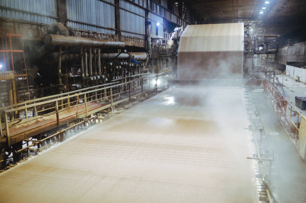 istock paper carton making factory machine huge cellulose 1189072967