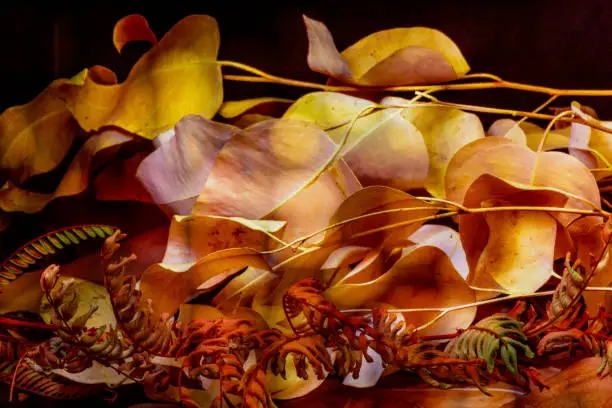 Yellow and orange autumn leaves on a dark bokeh background