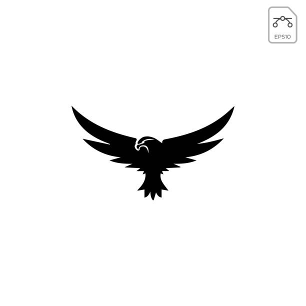 eagle bird flying symbol wektor ilustracja projektowa - phoenix tattoo bird wing stock illustrations