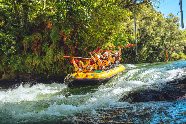 whitewater rafting on the kaituna river - teamwork rafting cooperation sport imagens e fotografias de stock