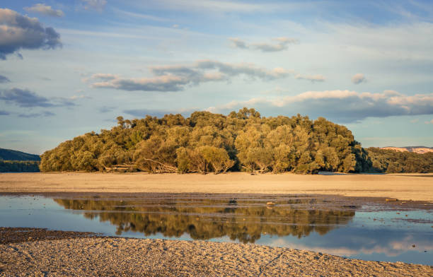 Free picture: Sandy river beach at autumn season with trees in the ...