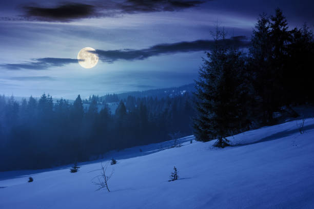 istock winter fairy tale scenery in mountains at night 1189081271