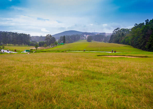 Vast uninhabited meadow or grassland divided by a road and surrounded by lush green forest, mountain, and cloudy blue sky,