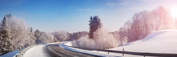 istock trees covered with snow in the forest 1189083035