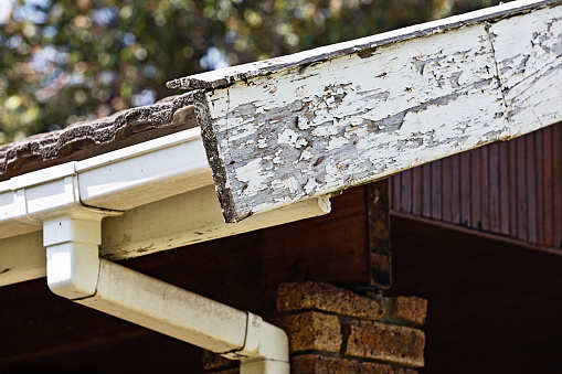 Urgently in need of some home maintenance, a worn and peeling fascia board and guttering.