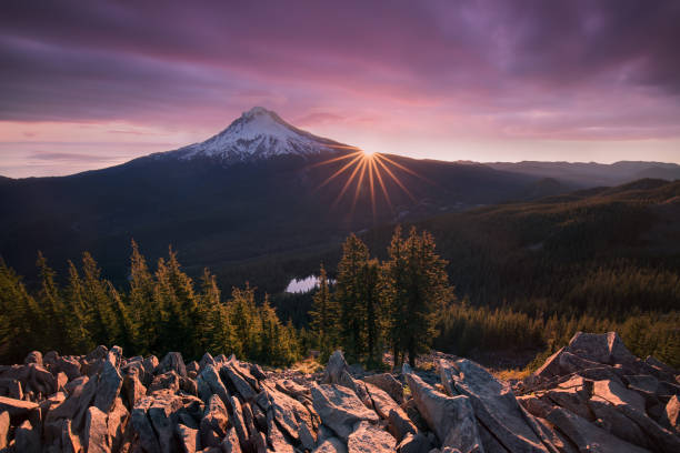Majestic View of Mt. Hood on a bright, colorful sunset during the summer months in Mount Hood National Forest, Oregon Most popular landscape background Oregon state mt hood photos stock pictures, royalty-free photos & images