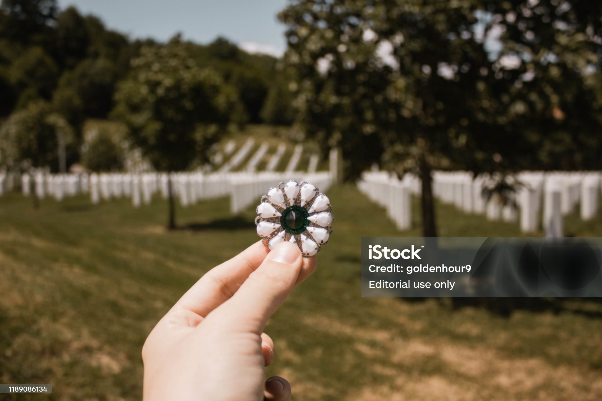 Zašto nosimo Cvijet Srebrenice? Simbolika, poruka i snaga sećanja Zašto nosimo Cvijet Srebrenice? Simbolika, poruka i snaga sećanja