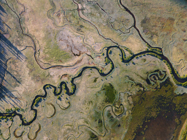 istock A stream meanders through a green valley, with natural twists and curves. Meandering watercourse, spring or summer time, World Heritage Laponia, Lapland, Sweden Aerial drone view 1189086308