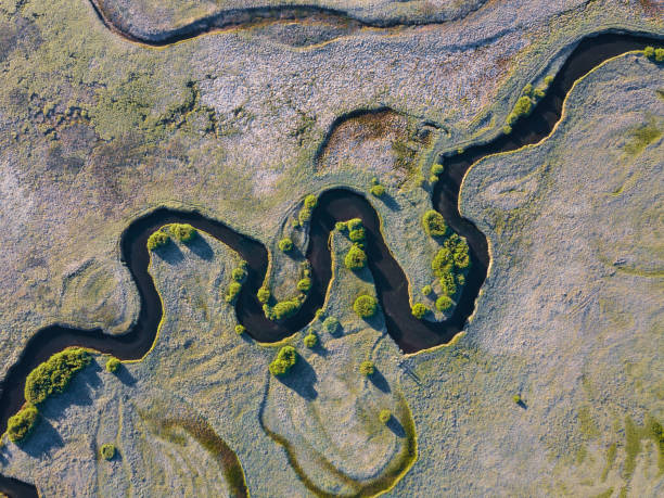 istock A stream meanders through a green valley, with natural twists and curves. Meandering watercourse, spring or summer time, World Heritage Laponia, Lapland, Sweden Aerial drone view 1189086493