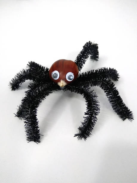 istock Halloween, the Spider built with chestnut and wire. 1189088398
