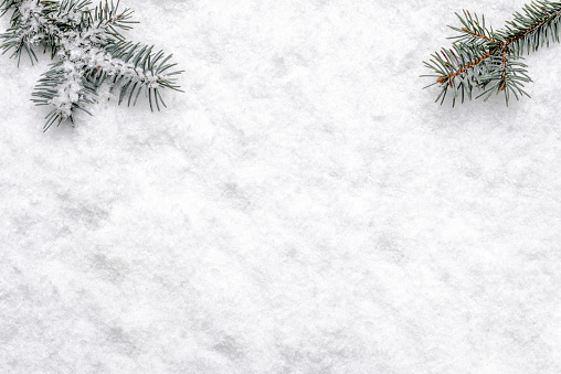 Fondo blanco de Navidad con rama de árbol de nieve y navidad, plano de lay, vista superior photo