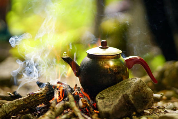 istock Making tea in the teapot in flames above the campfire 1189091318